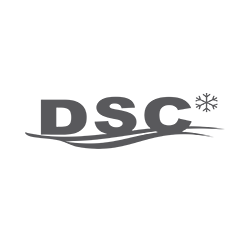 DSC