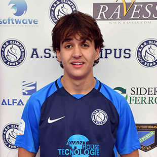 Signorelli